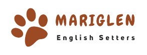 Mariglen English Setters